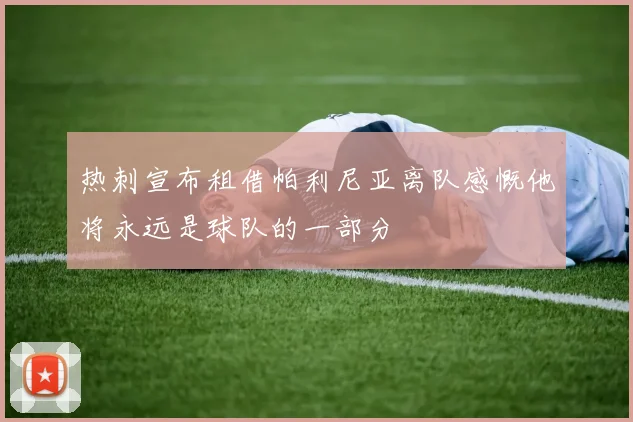 热刺宣布租借帕利尼亚离队感慨他将永远是球队的一部分