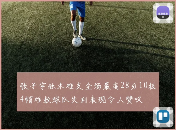 张子宇独木难支全场最高28分10板4帽难救球队失利表现令人赞叹